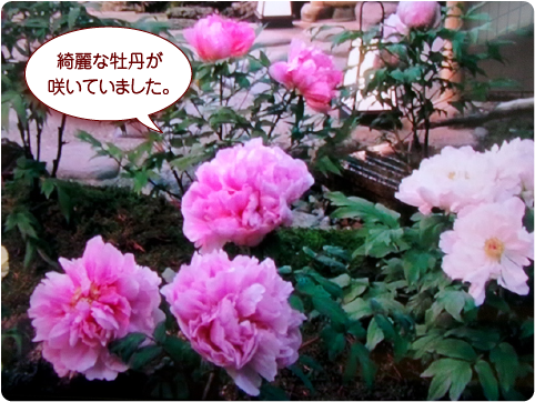 YȉO炢Ă܂B